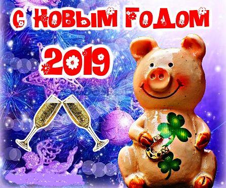 Поздравления С Новым Годом 2021 Свиньи Медикам