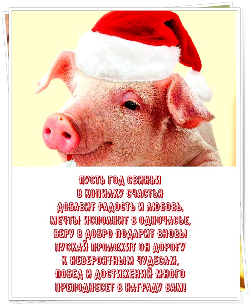 Короткое Новогоднее Поздравление С Годом Свиньи