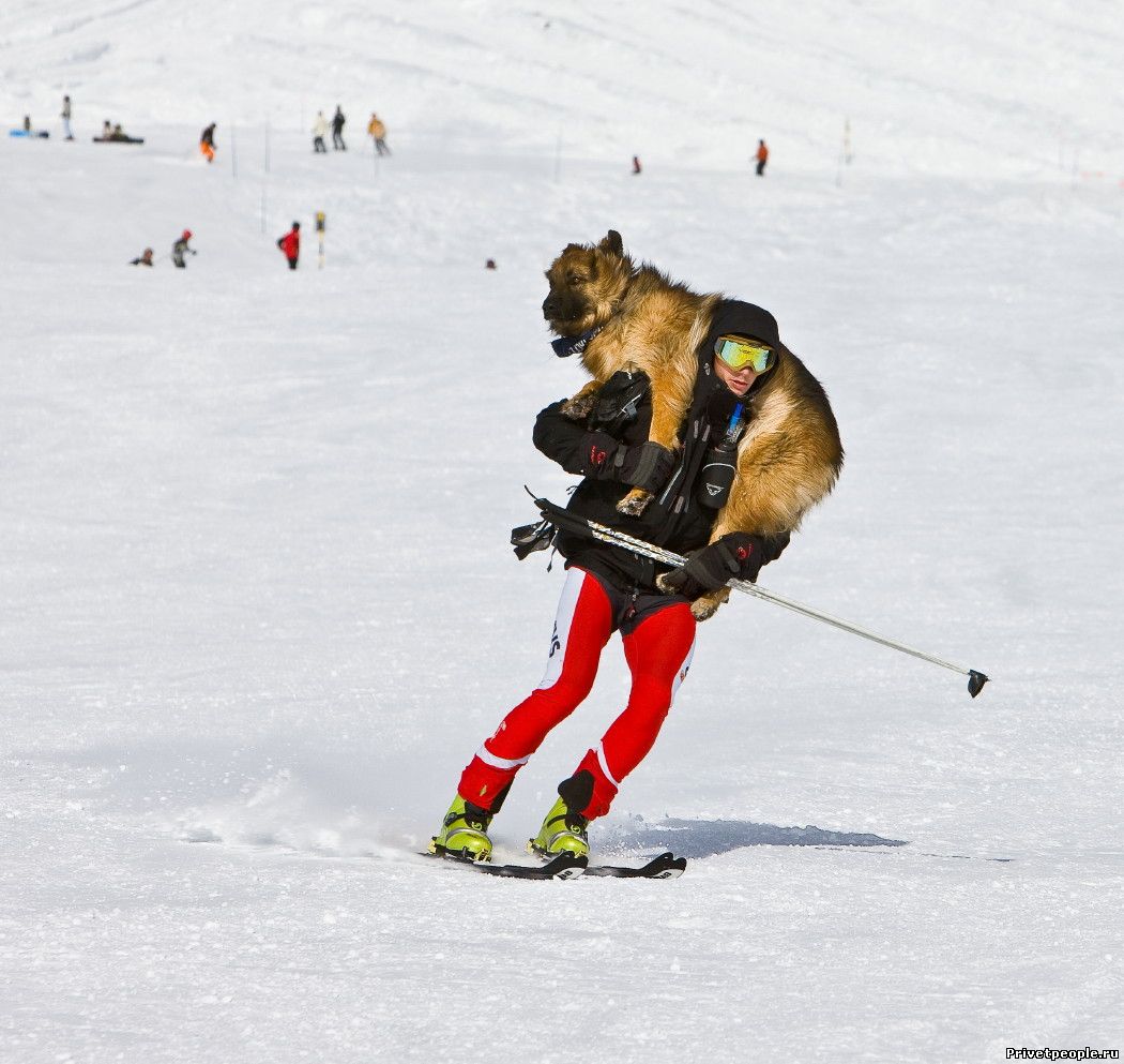 Шикарные фото лыжников