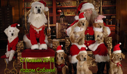 Санта Клаус и 7 собак, обои 1300px × 760px