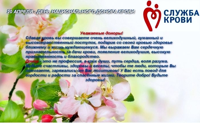 20 апреля какой праздник в россии. День донора. Поздравление с днем донора официальное. С национальным днем донора поздравление. Поздравление с днем донора крови.