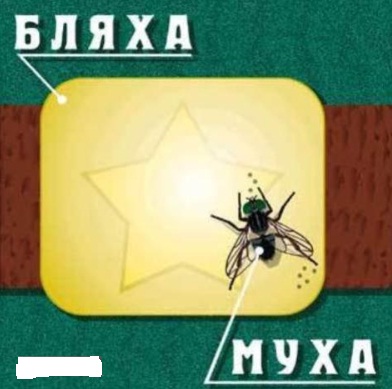 Бляха - муха